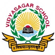 vidyasagar school